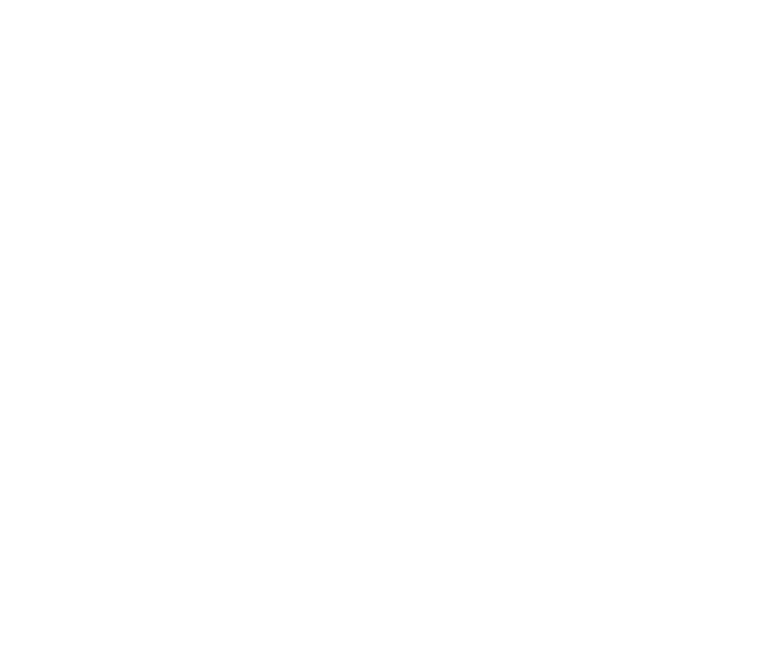 phone Personvern 2